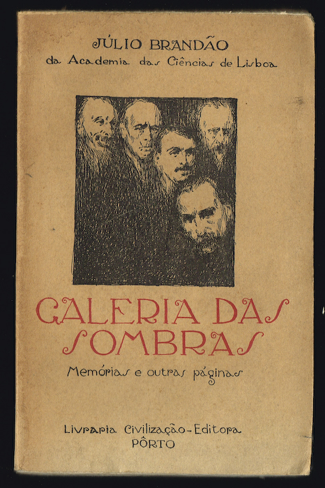 13847 galeria das sombras julio brandao.jpg